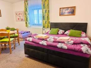Pension Lenka 1 Harrachov